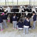 정동농장 이미지