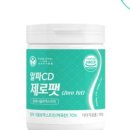 펫바이탈랩 네이버블로그