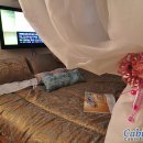 판타루시아 이미지