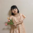 리네패턴 이미지