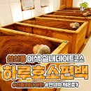 하루효소편백 이미지