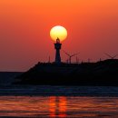 사람 그리고 새 이미지