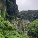 엉또김밥 이미지