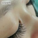 슈슈속눈썹 - 세종특별자치시 | 슈슈속눈썹