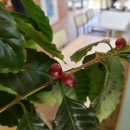 석기농장 이미지