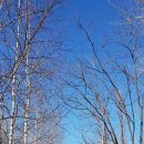 가원습지생태자연공원 이미지