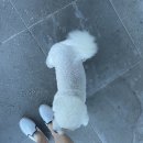 설리와카라반펜션 | 남해여행 설리와카라반 / 오션뷰 수영장과 바베큐가 가능한 남해숙소 후기 ! (Feat. 103호)