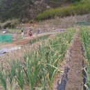 녹산농장 이미지