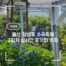 한화솔루션(주)울산3 | 울산 장생포 수국축제 3일차 실시간 후기와 주차