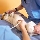 토평동물병원 이미지