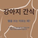 바이털독