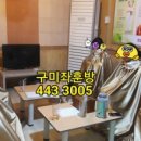 비채아