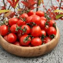 호윤농장 이미지