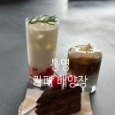 배양장 | 통영 바다 뷰 카페 - 카페배양장 내돈내산 후기