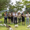 애견시대 이미지