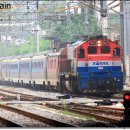 H1153 이미지