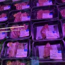 주식회사 음성한우육가공 | [음성 맛집] 충북혁신도시한우맛집🥩 "한우특가 맹동점" 솔직후기 한우모둠 100g당 9,900 무쇠판에 한우...