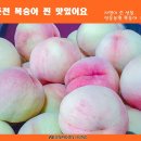 선웅농원 이미지