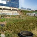 법환동-7 이미지