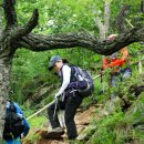 참사랑목장 이미지