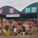 보림화훼