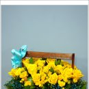늘푸른화원 - 금산군 무금로 2399 | 늘푸른화원