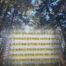 부처님 말씀대로 살아보니 책 | 토니 페르난도 책 후기 | 지금 설거지하는 남편에게 일어나는 기적 추천...