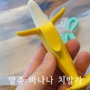 신아인터네셔날 | [아기치발기] 국민 치발기 앙쥬 바나나 치발기 사용 후기!