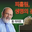 톰 라이트와 함께 성경에서 이미지를 찾아내기- 05. 보혈: 생명의 논리 이미지