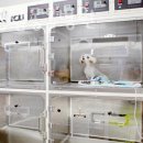 양천종합동물병원 이미지