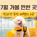 놀이터 반려견 미용실 이미지