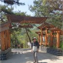 황포돗대 주변 이미지