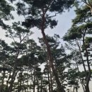 난쟁이카페