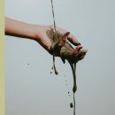 이엘뷰티 이미지