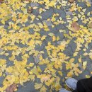 내손탁구장 | 마포탁구클럽 데이트후기(레슨, 주차, 시설정보) 새해 커플 운동으로 마포 공덕 탁구장 추천!