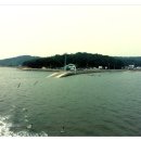 신도자동차 이미지