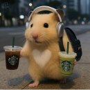 동래오렌지약국 | 여름이 나를 억까할 때