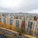 압구정-245 이미지