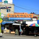 전국지짐자랑 | 대한민국 전통시장 알아보기? #005 속초관광수산시장