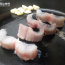 사계절 민물 이미지