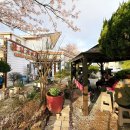 감나무길(태화동) | 강원도 양양 맛집 추천 감나무식당 송이황태국밥 오픈런 대기 시간과 솔직 후기