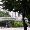 신나무실육교 이미지