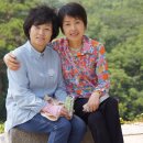 용봉산자연휴양림 이미지