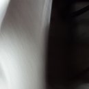핵꿀잼