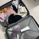 물레방아길 | 아기랑 제주여행 숙소추천: 제주 서귀포 칼호텔 온돌방후기(대한항공 마일리지로 예약), 여행시 아기준비물