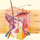 뷰티창조