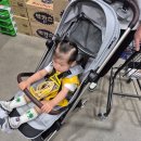 스카이오토 | 에그 스카이2 휴대용 유모차 트렁크 적재 후기, 오토폴딩이라 진짜 편해요