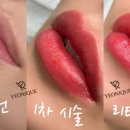 여니크 네이버블로그