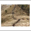 삼례약수 이미지