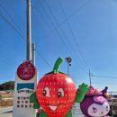 또로롱 | [논산] 딸기 수확 + 철판아이스크림 만들기 | 또로롱딸기 체험후기🍓